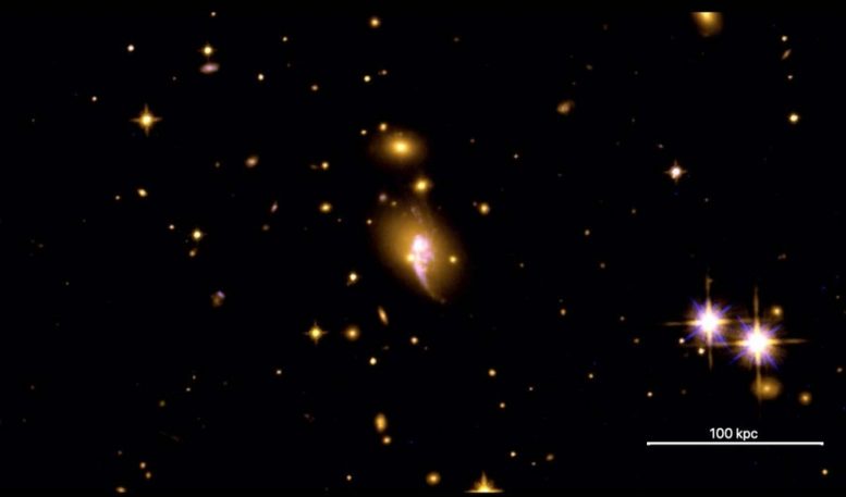 芯片：麻省理工学院的天文学家发现隐藏在视线中的新星系团