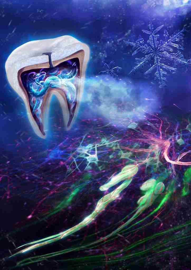 “牙虫”：研究人员发现为什么感冒会引起牙齿疼痛-以及如何阻止它