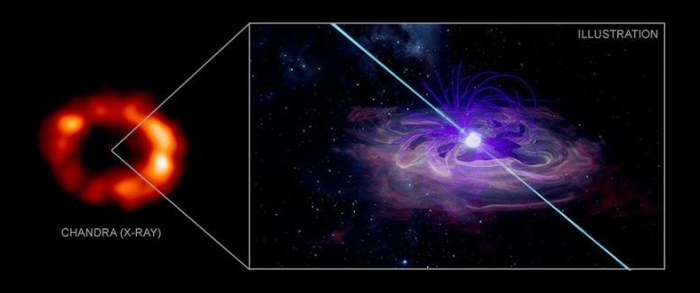 可能在著名的超新星SN 1987A中发现了隐居的中子星