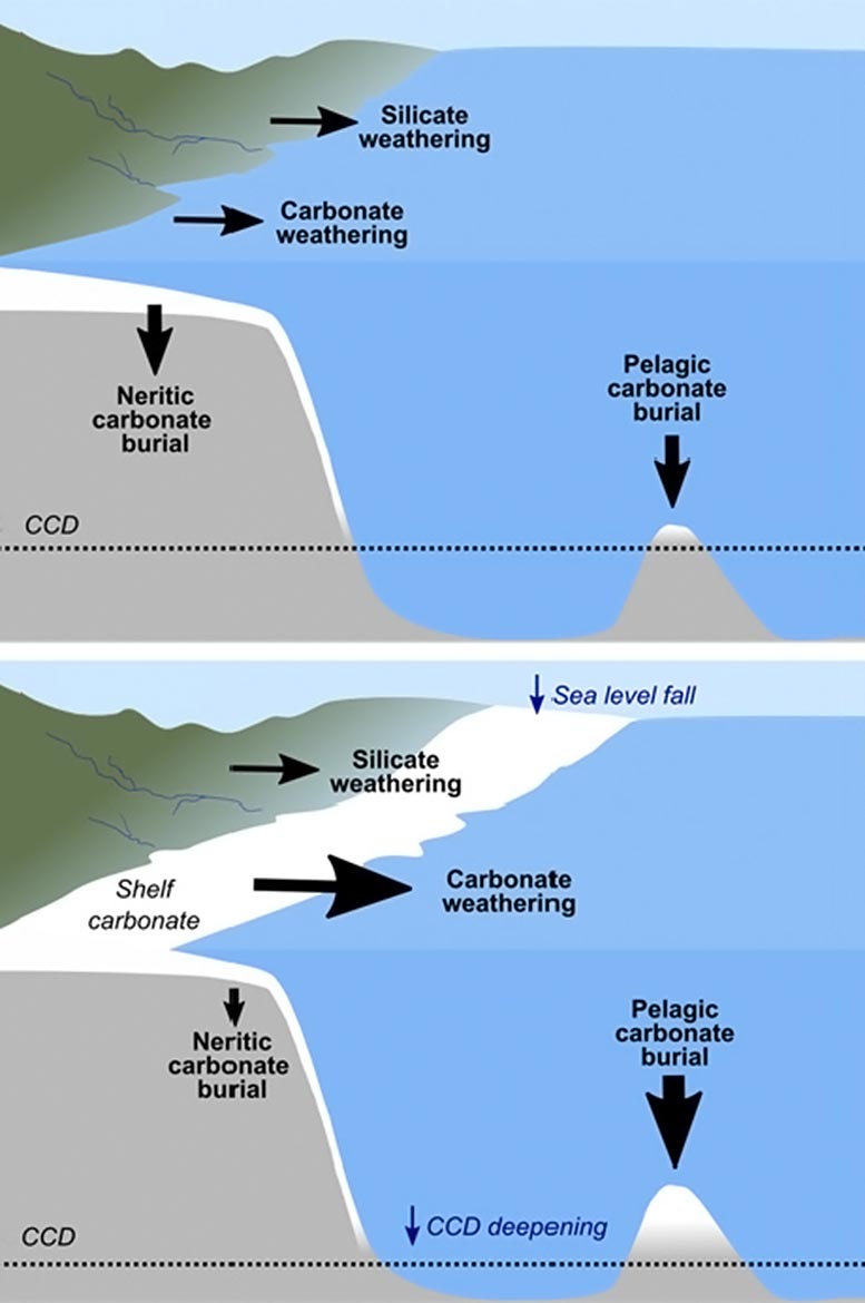 海洋化学变化揭示了海平面如何影响全球碳循环