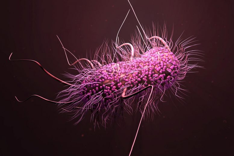 首次映射医院细菌超级细菌的全面进化历程