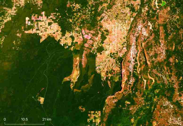 消失的森林和贝尔兹在美国宇航局卫星上掩盖了森林和湿地