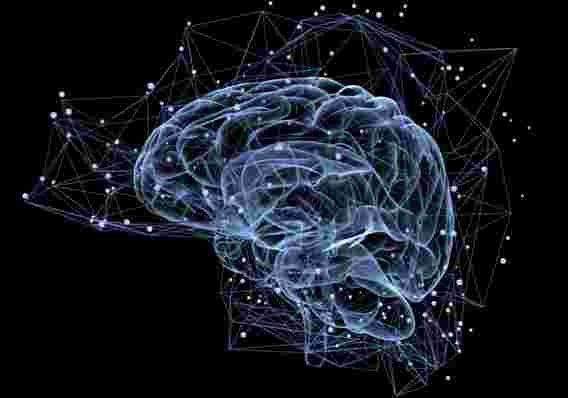 网格代码：关于记忆如何在大脑中存储的革命性新理论