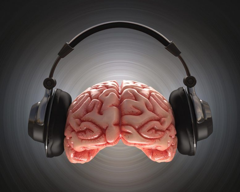 神经科学家发现了大脑享有音乐的原因