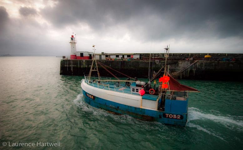 渔夫在“完美风暴”中的风险 - 被迫在安全和收入之间进行选择