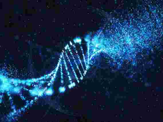 新研究表明量子物理学会导致我们DNA的突变