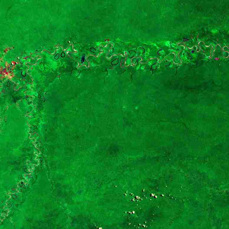 从太空探索地球：亚马逊热带雨林